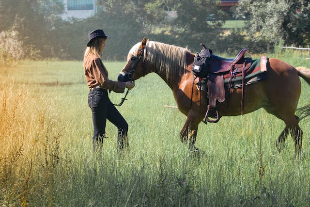 How to Get Hired on a Ranch: The Ultimate Guide to Securing a Ranch Job image